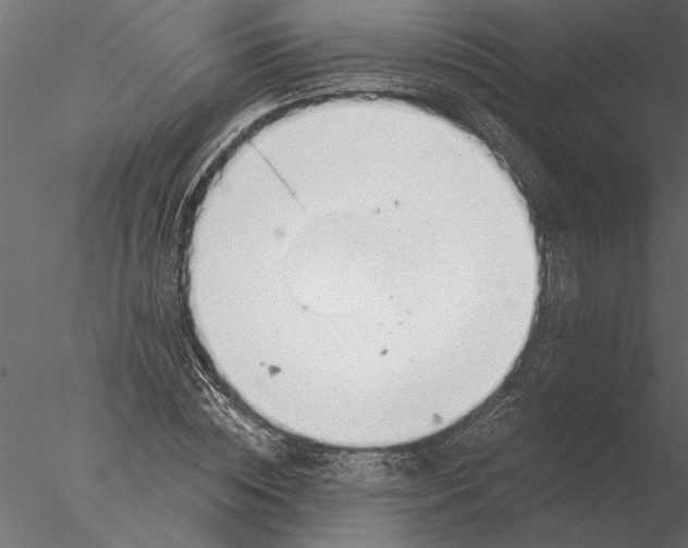 X0000076390828200611031653