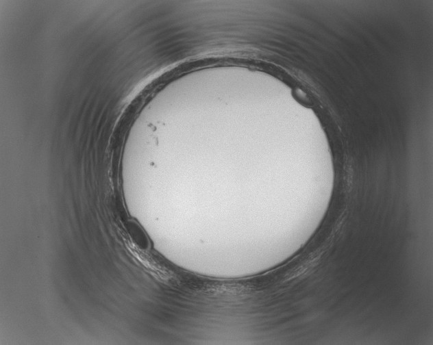 X0000076390830200611031653