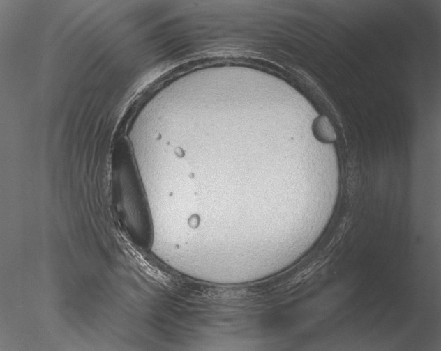 X0000076390831200611031653