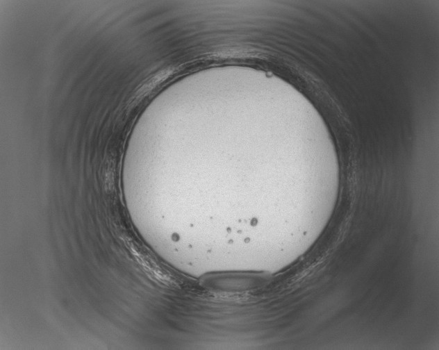 X0000076390833200611031653