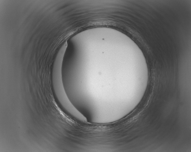 X0000076390841200611031653