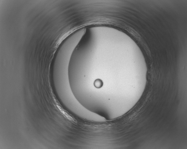 X0000076390842200611031653