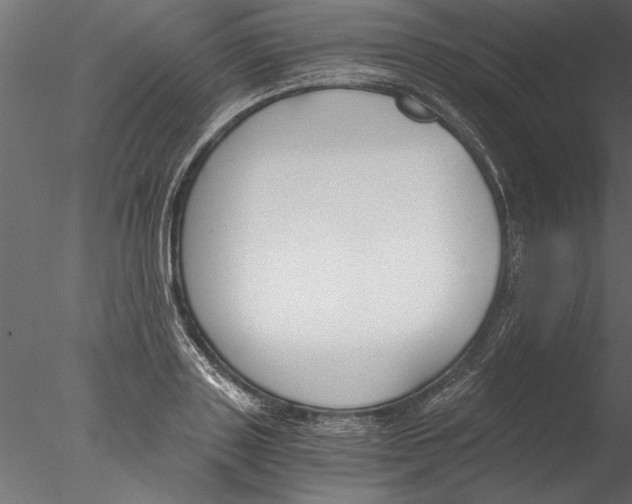 X0000076390843200611031653