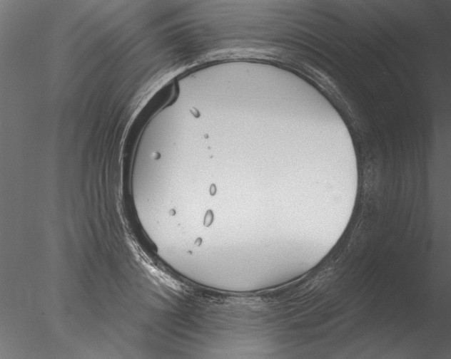 X0000076390844200611031653