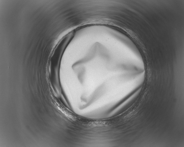 X0000076390846200611031653