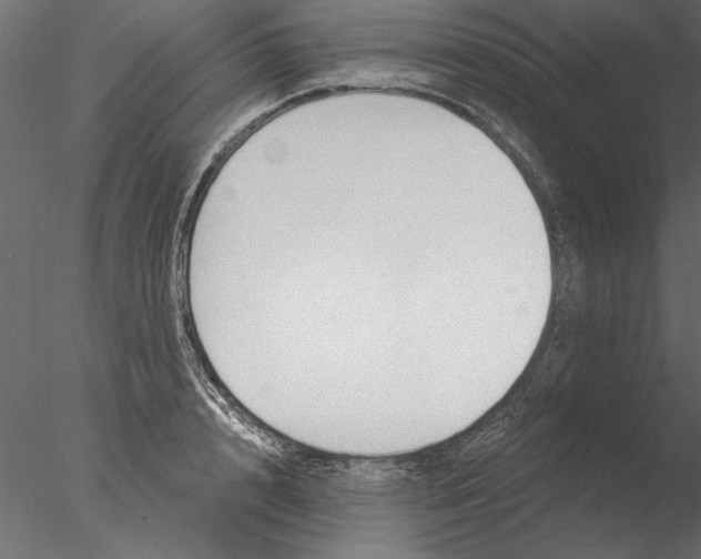 X0000076390848200611031653