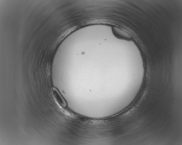 X0000076390849200611031653