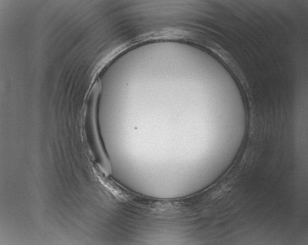 X0000076390850200611031653