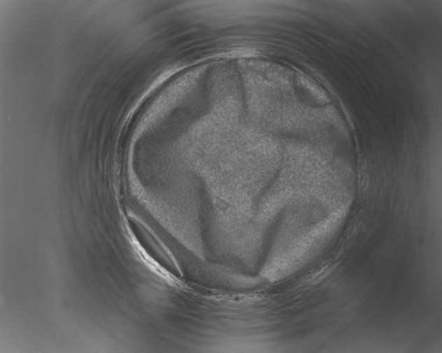 X0000076390851200611031653