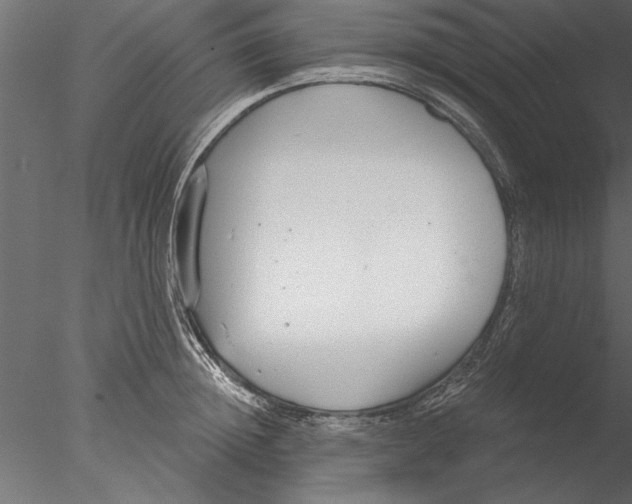 X0000076390852200611031653