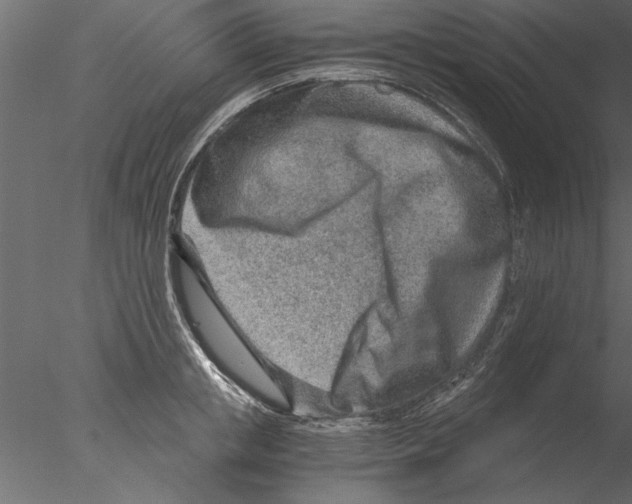 X0000076390853200611031653