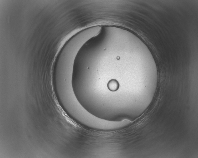 X0000076390854200611031653