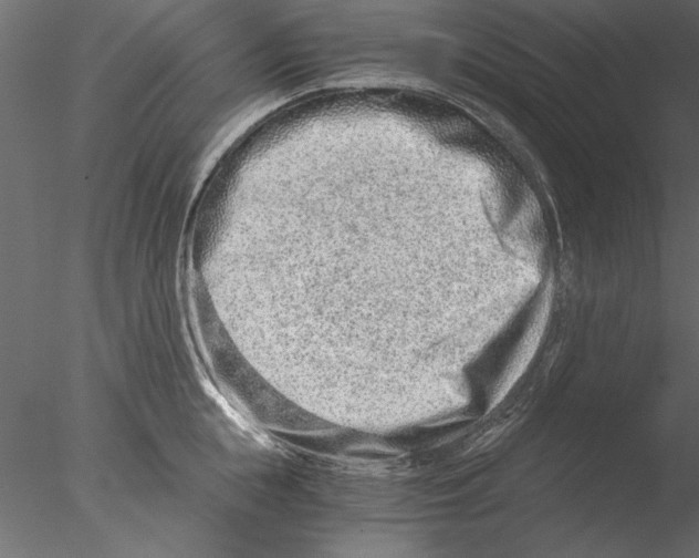 X0000076390855200611031653