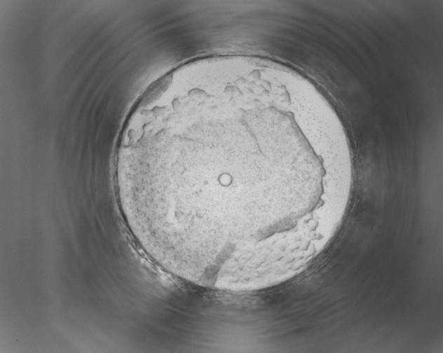 X0000076390856200611031653