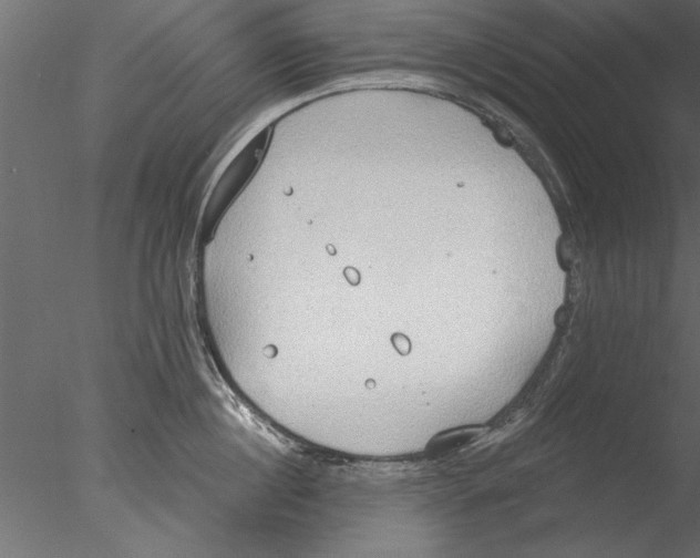 X0000076390860200611031653