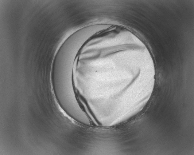 X0000076390863200611031653