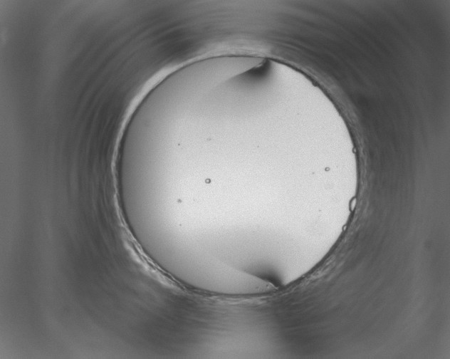 X0000076390864200611031653