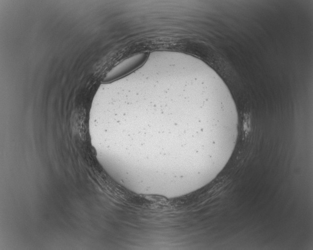 X0000076390867200611031653