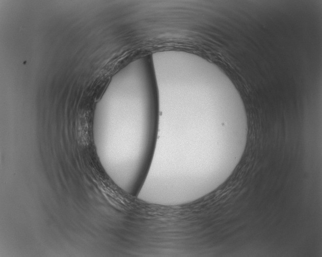 X0000076390868200611031653