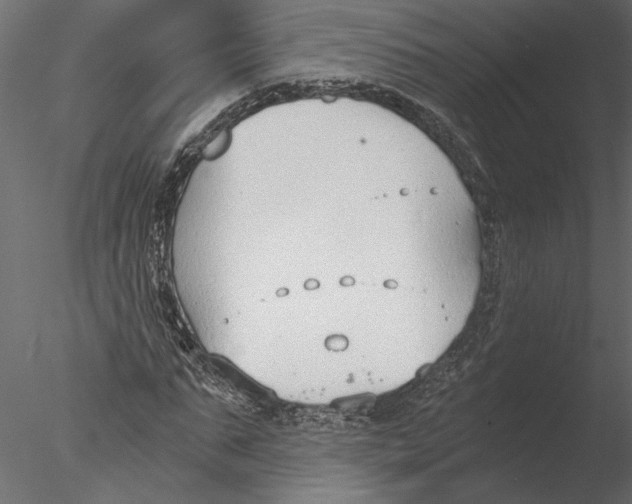 X0000076390871200611031652