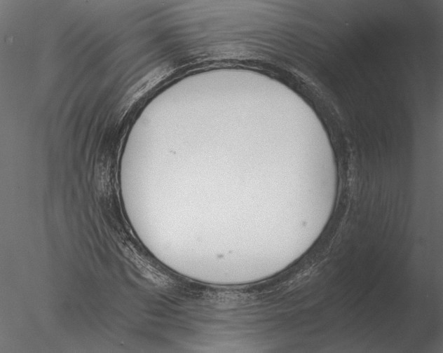 X0000076390873200611031652