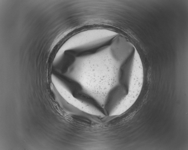 X0000076390877200611031652