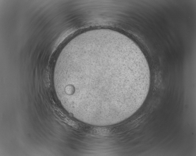 X0000076390878200611031652