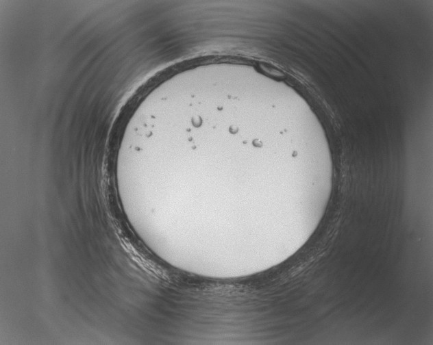 X0000076390880200611031652