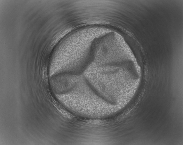 X0000076390881200611031652