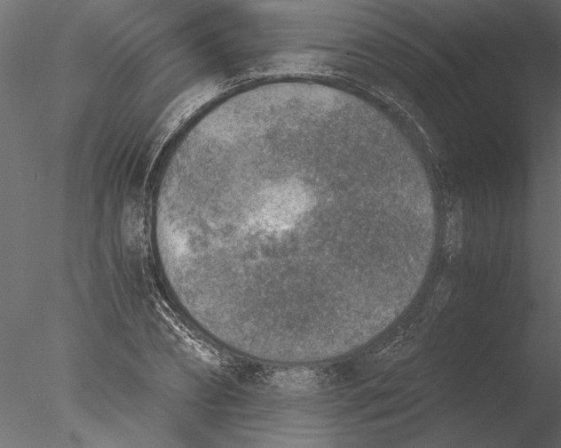 X0000076390882200611031652