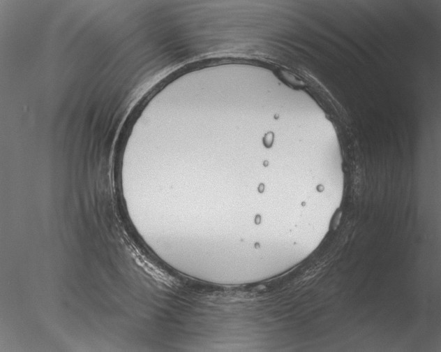 X0000076390884200611031652