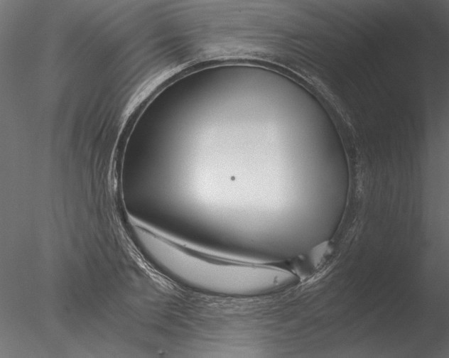 X0000076390885200611031652