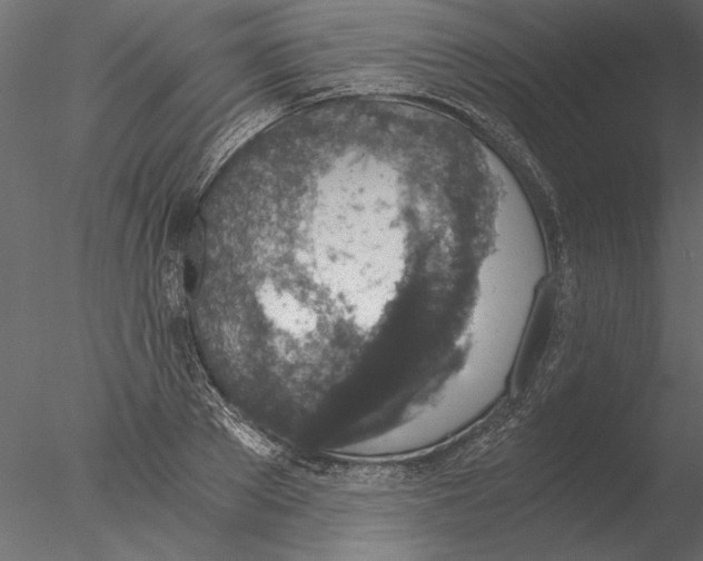 X0000076390889200611031652