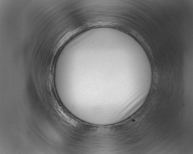 X0000076390890200611031652