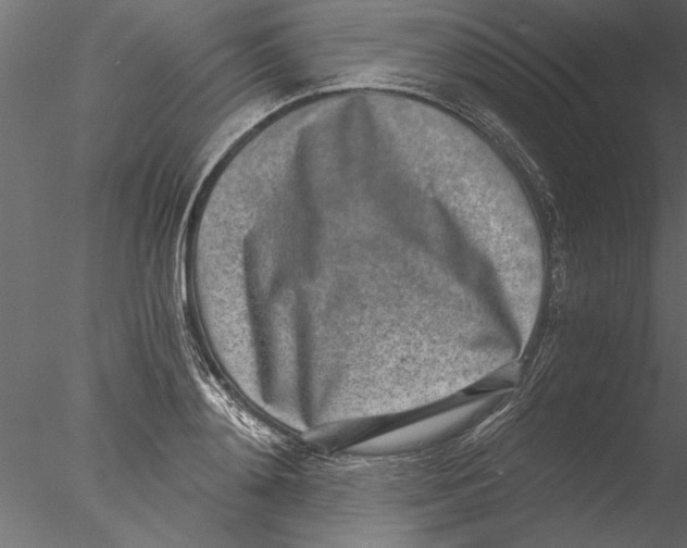 X0000076390892200611031652