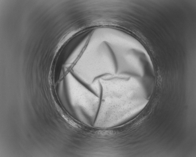 X0000076390893200611031652