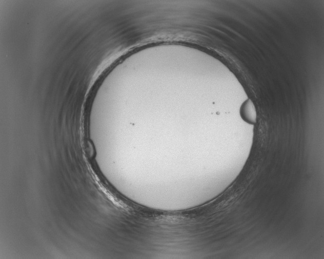 X0000076390894200611031652