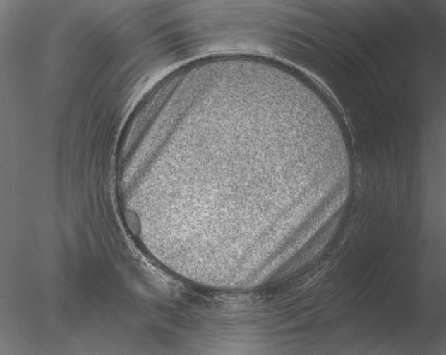 X0000076390895200611031652