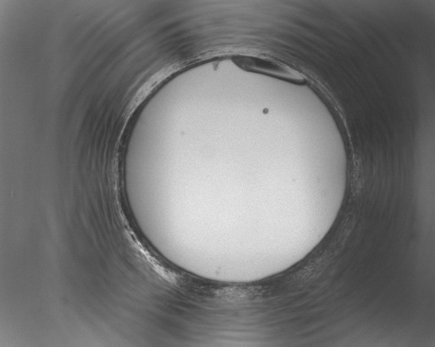 X0000076390898200611031652