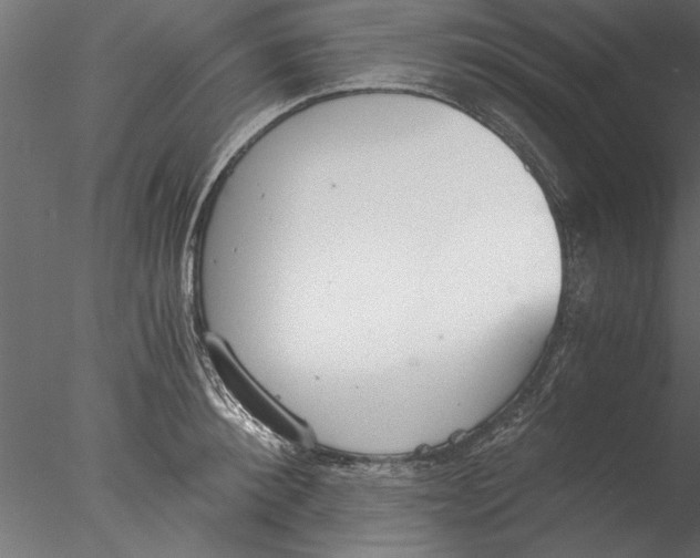 X0000076390900200611031652