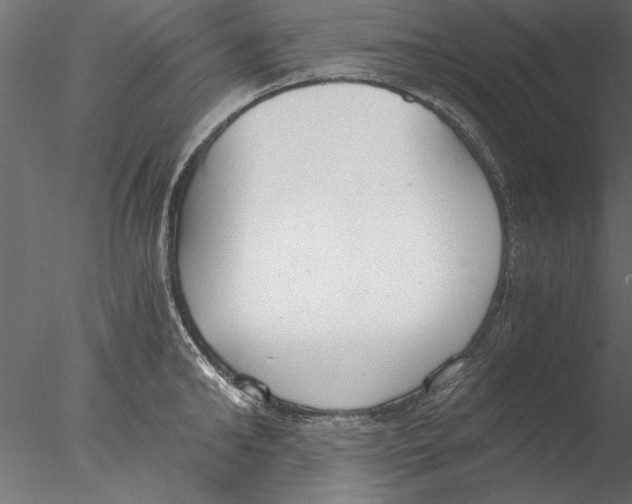 X0000076390902200611031652