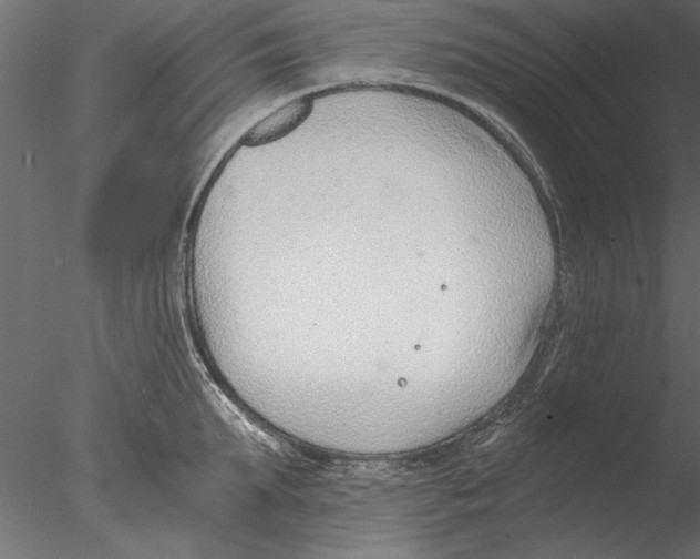 X0000076390903200611031652