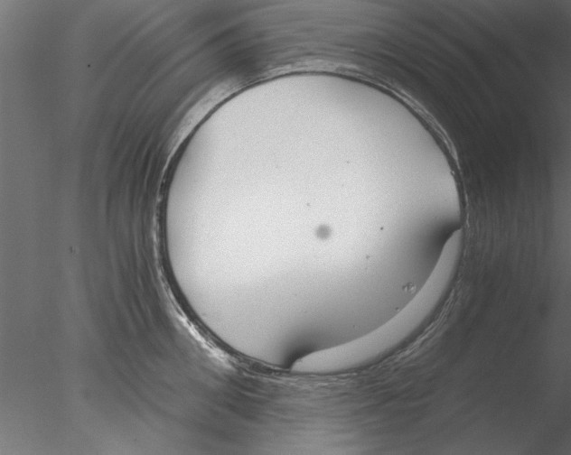 X0000076390906200611031652