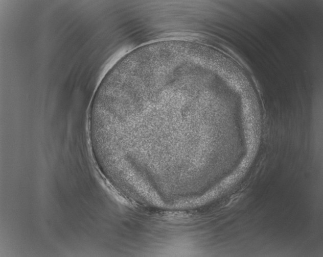 X0000076390907200611031652