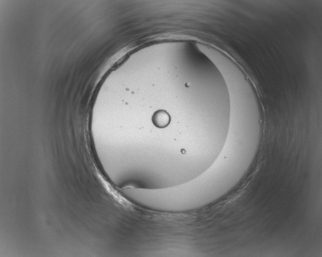 X0000076390909200611031652