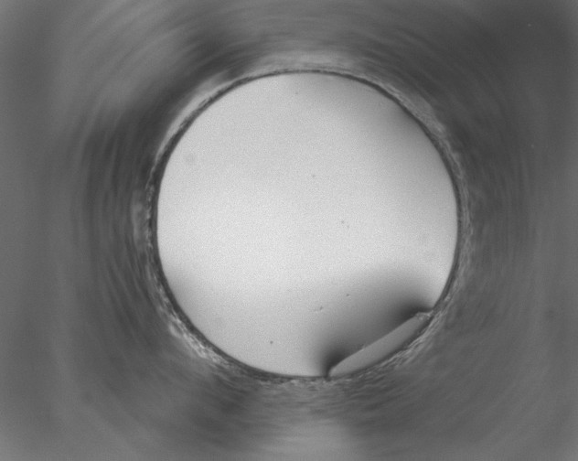 X0000076390912200611031652