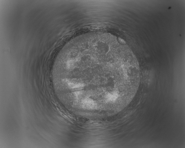 X0000076390913200611031651