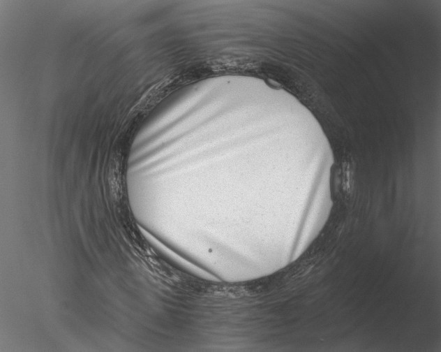 X0000076390915200611031651