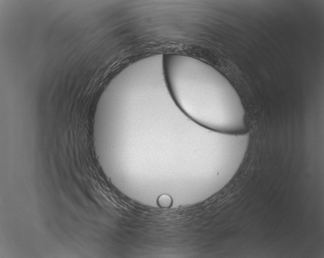 X0000076390916200611031651