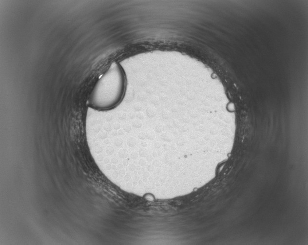 X0000076390918200611031651